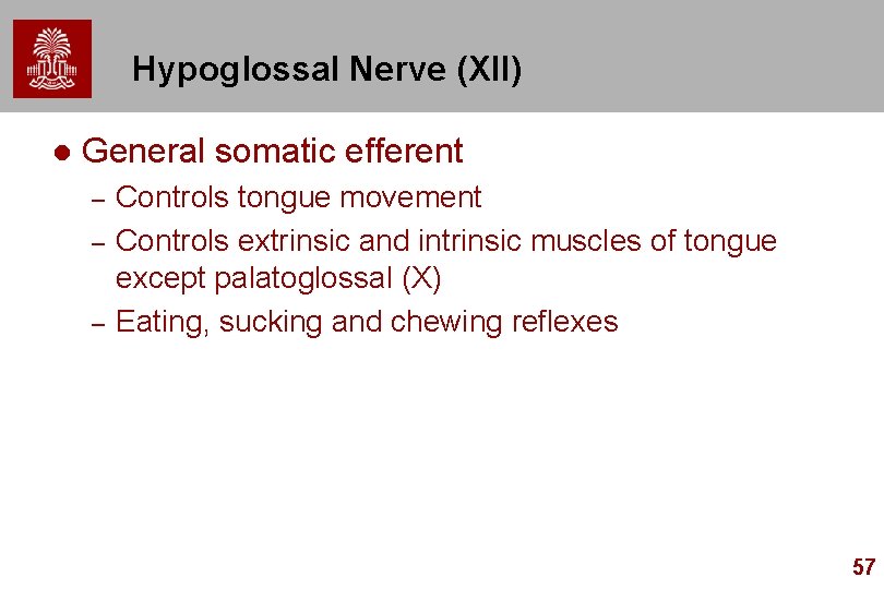 Hypoglossal Nerve (XII) l General somatic efferent – – – Controls tongue movement Controls