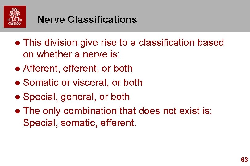 Nerve Classifications This division give rise to a classification based on whether a nerve