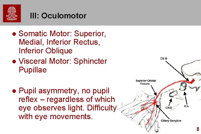 III: Oculomotor Somatic Motor: Superior, Medial, Inferior Rectus, Inferior Oblique l Visceral Motor: Sphincter