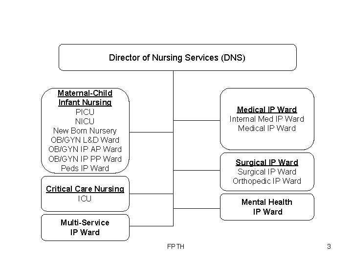 Director of Nursing Services (DNS) Maternal-Child Infant Nursing PICU New Born Nursery OB/GYN L&D