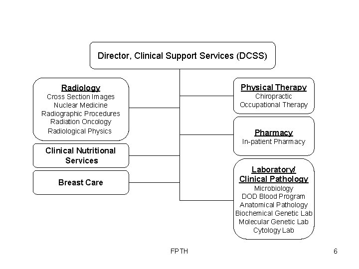 Director, Clinical Support Services (DCSS) Radiology Physical Therapy Cross Section Images Nuclear Medicine Radiographic