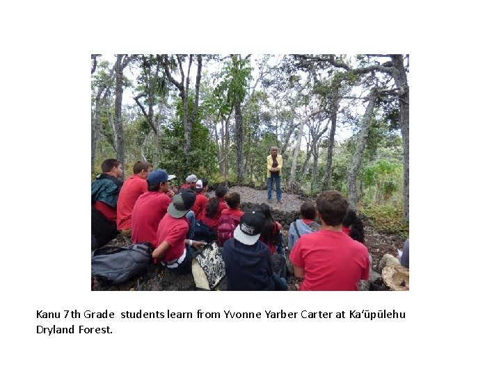 Kanu 7 th Grade students learn from Yvonne Yarber Carter at Ka‘ūpūlehu Dryland Forest.