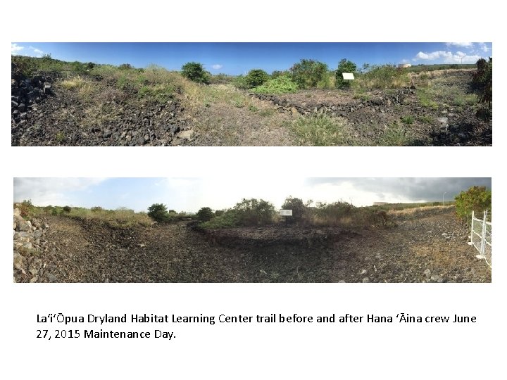 LaʻiʻŌpua Dryland Habitat Learning Center trail before and after Hana ʻĀina crew June 27,