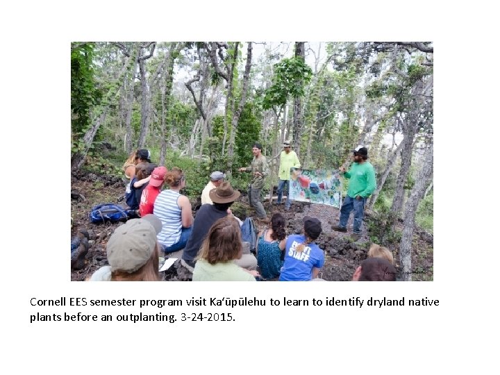 Cornell EES semester program visit Ka‘ūpūlehu to learn to identify dryland native plants before