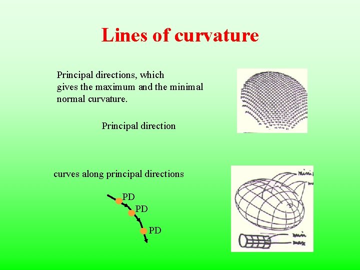 Lines of curvature Principal directions, which gives the maximum and the minimal normal curvature.