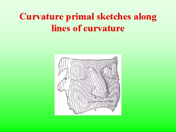 Curvature primal sketches along lines of curvature 