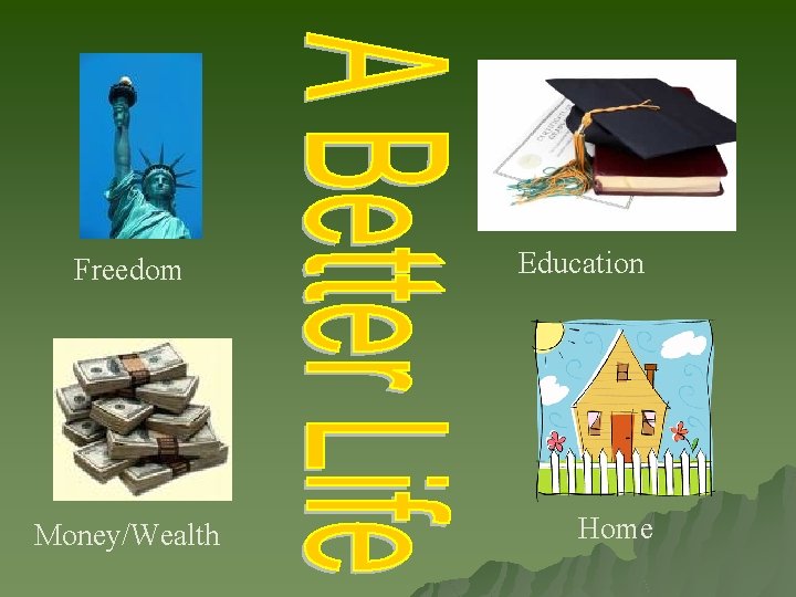 Freedom Money/Wealth Education Home Freedom Money/Wealth Education Home