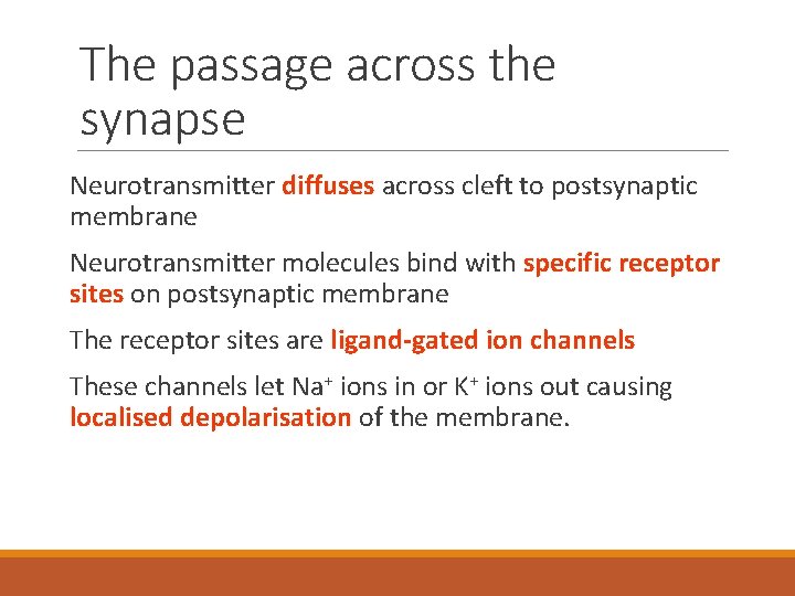 The passage across the synapse Neurotransmitter diffuses across cleft to postsynaptic membrane Neurotransmitter molecules