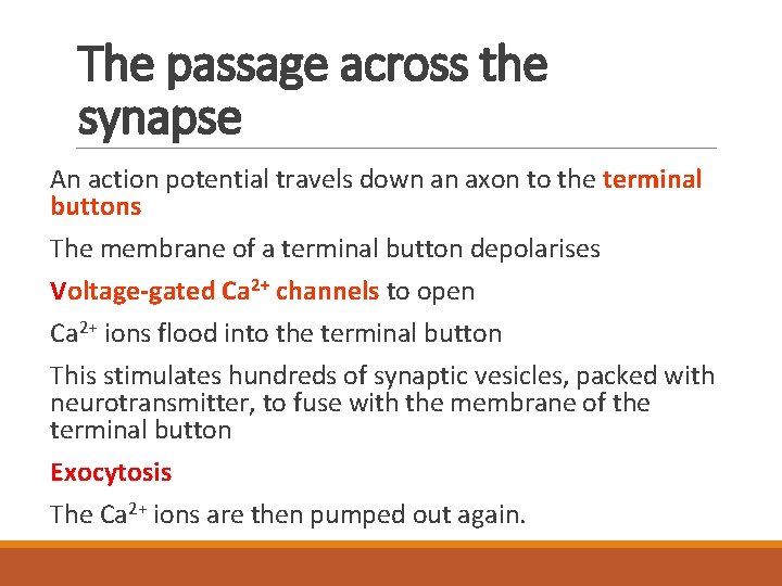 The passage across the synapse An action potential travels down an axon to the