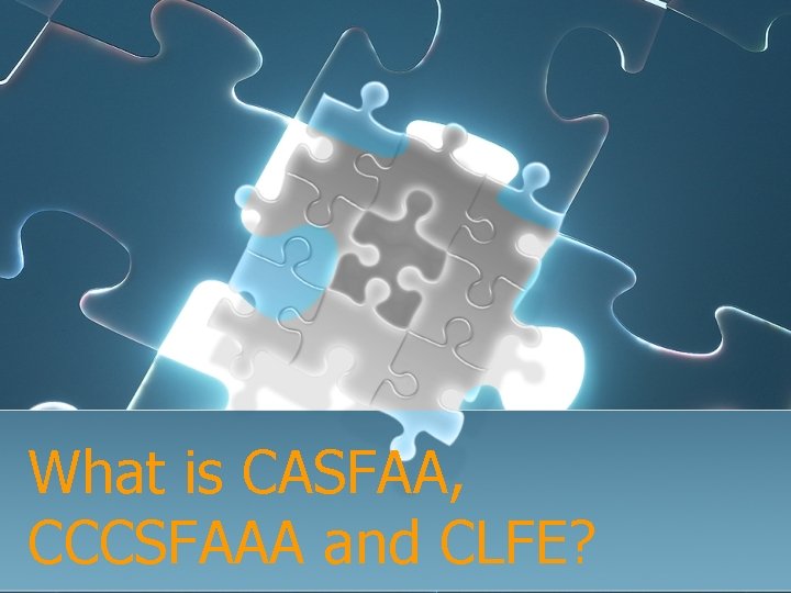 What is CASFAA, CCCSFAAA and CLFE? 