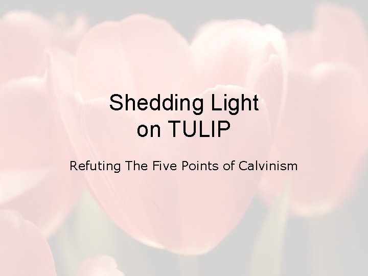 Shedding Light on TULIP Refuting The Five Points of Calvinism 