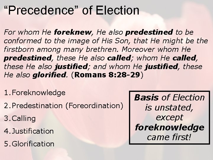 “Precedence” of Election For whom He foreknew, He also predestined to be conformed to