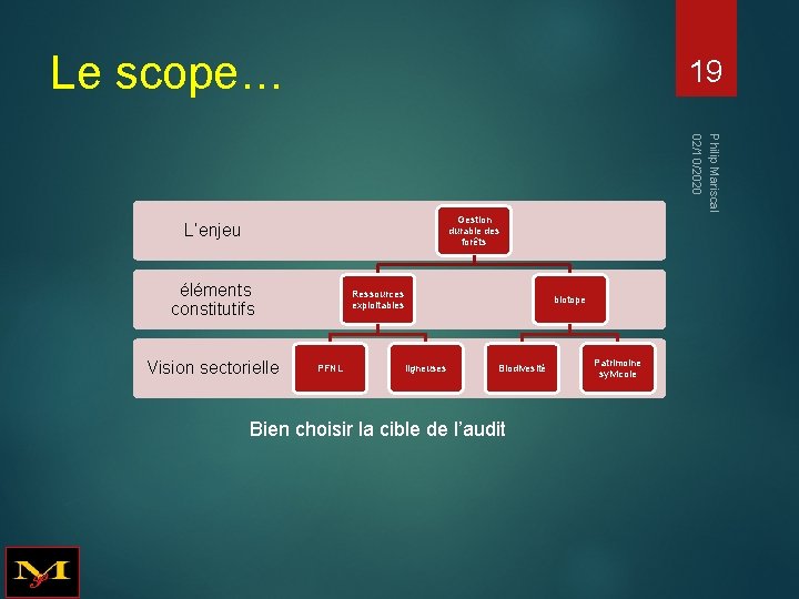 Le scope… 19 Philip Mariscal 02/10/2020 Gestion durable des forêts L’enjeu éléments constitutifs Vision