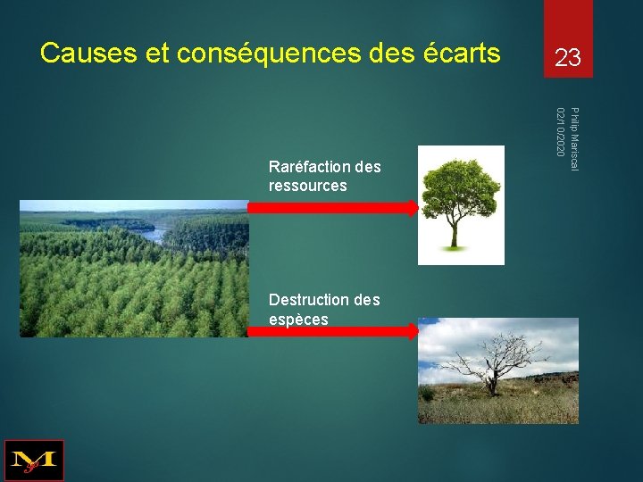 Causes et conséquences des écarts Raréfaction des ressources Destruction des espèces Philip Mariscal 02/10/2020