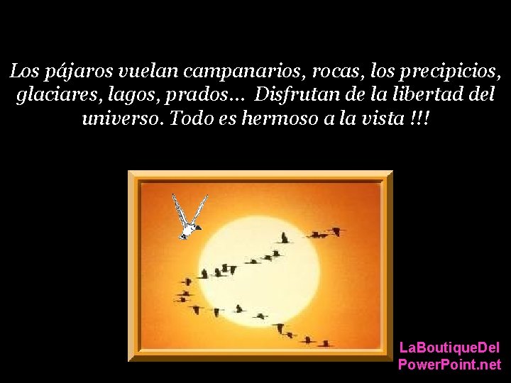 Los pájaros vuelan campanarios, rocas, los precipicios, glaciares, lagos, prados… Disfrutan de la libertad Los pájaros vuelan campanarios, rocas, los precipicios, glaciares, lagos, prados… Disfrutan de la libertad