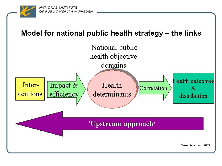 Model for national public health strategy – the links National public health objective domains