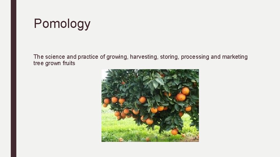 Pomology The science and practice of growing, harvesting, storing, processing and marketing tree grown