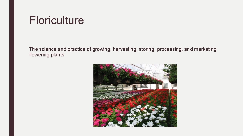 Floriculture The science and practice of growing, harvesting, storing, processing, and marketing flowering plants