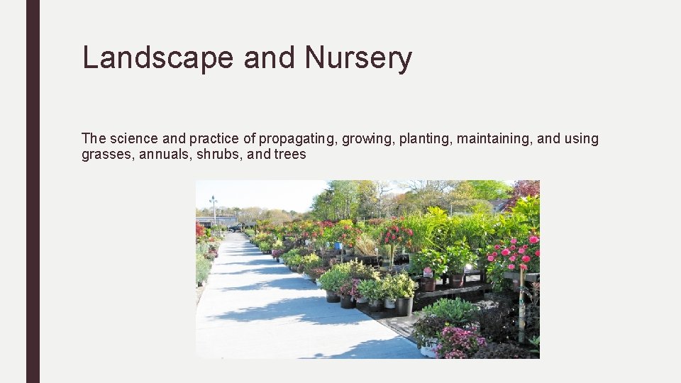 Landscape and Nursery The science and practice of propagating, growing, planting, maintaining, and using