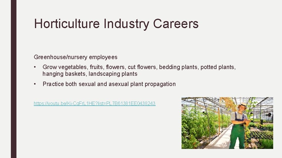 Horticulture Industry Careers Greenhouse/nursery employees • Grow vegetables, fruits, flowers, cut flowers, bedding plants,