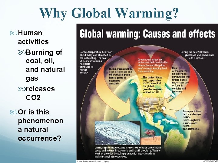 Why Global Warming? Human activities Burning of coal, oil, and natural gas releases CO