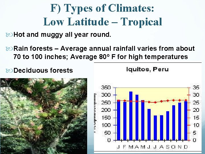 F) Types of Climates: Low Latitude – Tropical Hot and muggy all year round.