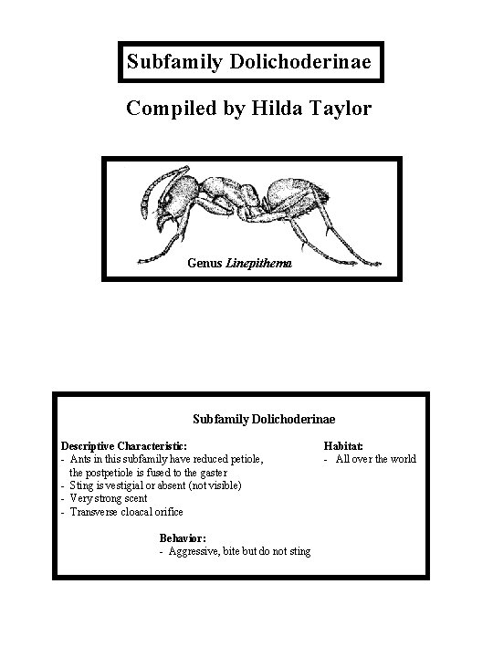 Subfamily Dolichoderinae Compiled by Hilda Taylor Genus Linepithema Subfamily Dolichoderinae Descriptive Characteristic: - Ants