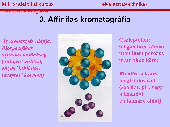 Mikronalalitikai kurzus oszlopkromatográfia elválasztástechnika- 3. Affinitás kromatográfia Az elválasztás alapja: Biospecifikus affinitás különbség (antigén/