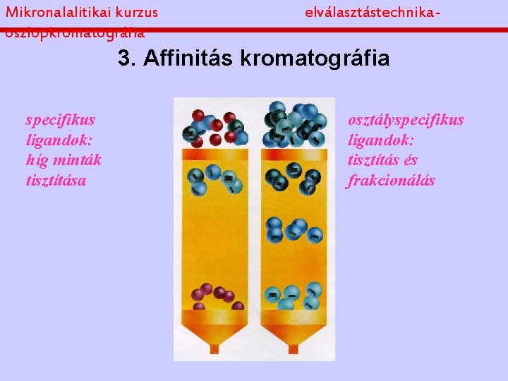 Mikronalalitikai kurzus oszlopkromatográfia elválasztástechnika- 3. Affinitás kromatográfia specifikus ligandok: híg minták tisztítása osztályspecifikus ligandok: