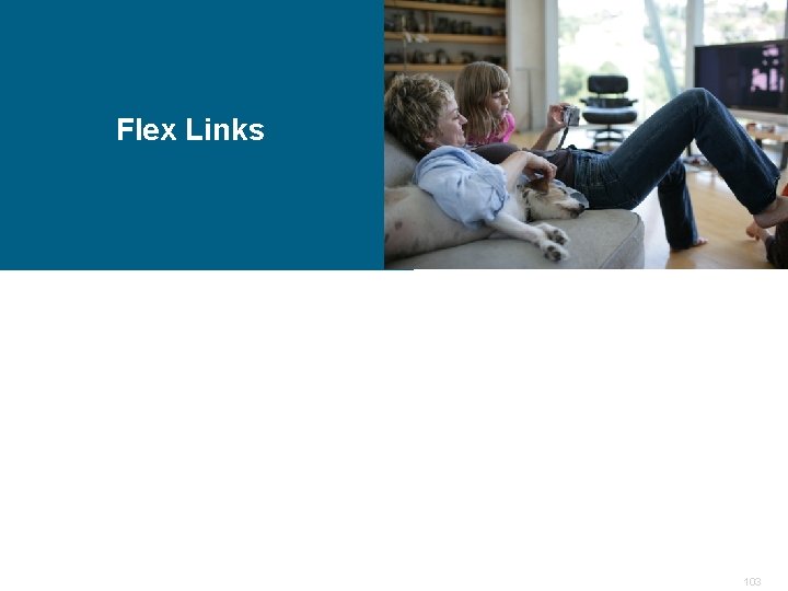 Flex Links 103 Flex Links 103