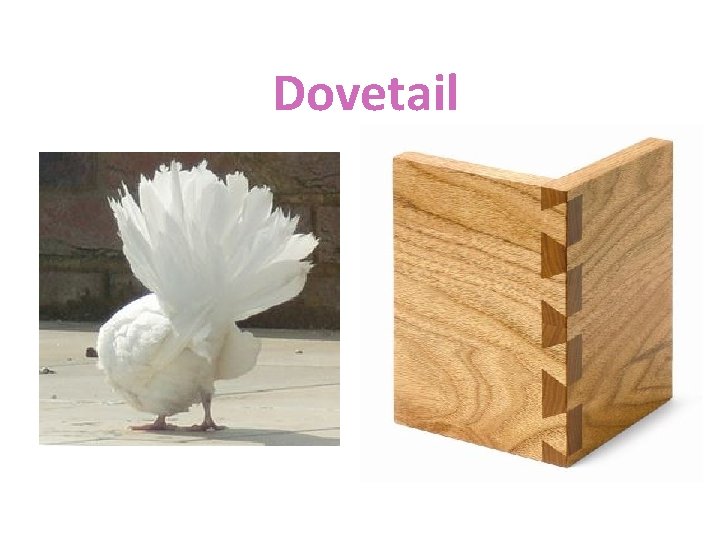 Dovetail 