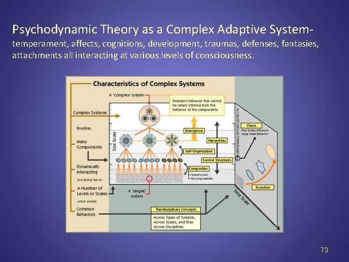 Psychodynamic Theory as a Complex Adaptive System- temperament, affects, cognitions, development, traumas, defenses, fantasies,