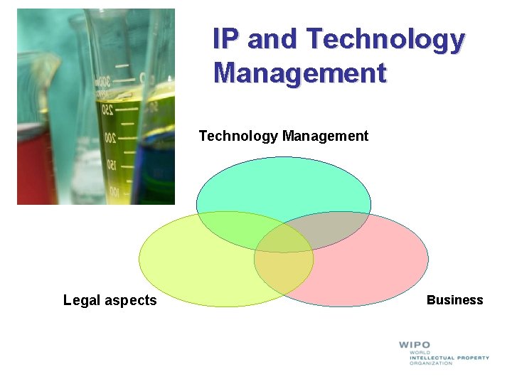 IP and Technology Management Legal aspects Business IP and Technology Management Legal aspects Business
