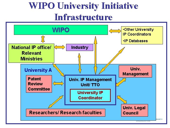 WIPO University Initiative Infrastructure WIPO • Other University IP Coordinators • IP Databases National WIPO University Initiative Infrastructure WIPO • Other University IP Coordinators • IP Databases National