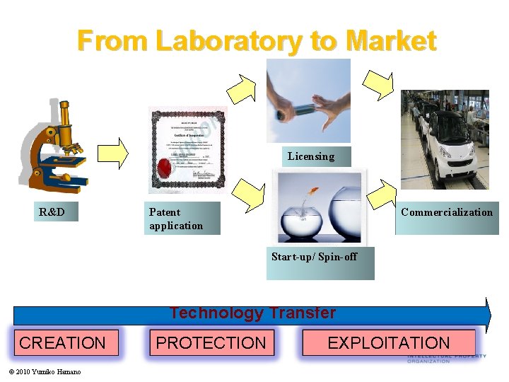 From Laboratory to Market Licensing R&D Patent application Commercialization Start-up/ Spin-off Technology Transfer CREATION From Laboratory to Market Licensing R&D Patent application Commercialization Start-up/ Spin-off Technology Transfer CREATION