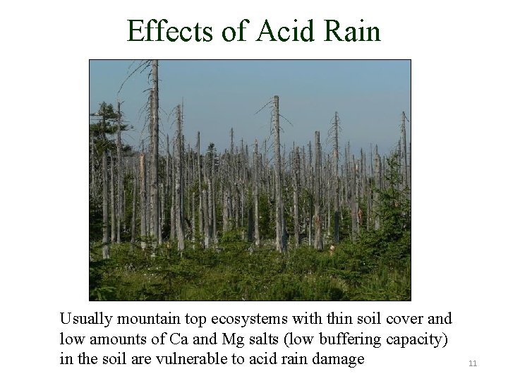 Effects of Acid Rain Usually mountain top ecosystems with thin soil cover and low