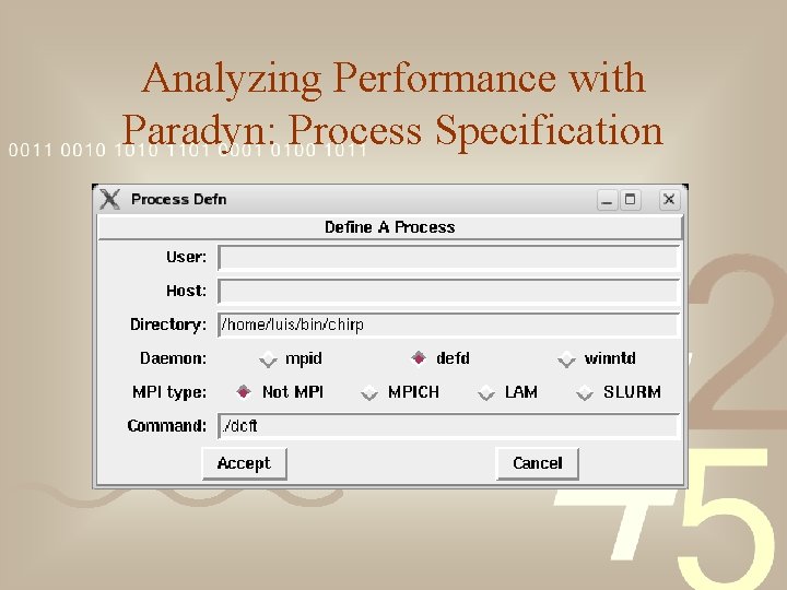 Analyzing Performance with Paradyn: Process Specification 