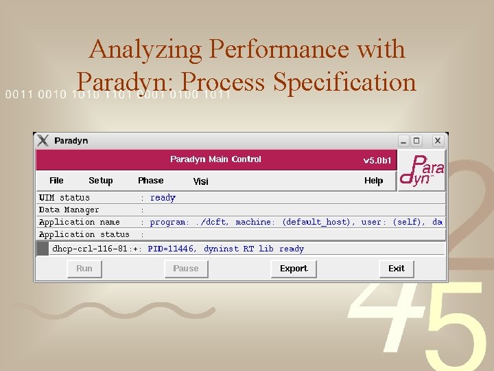 Analyzing Performance with Paradyn: Process Specification 