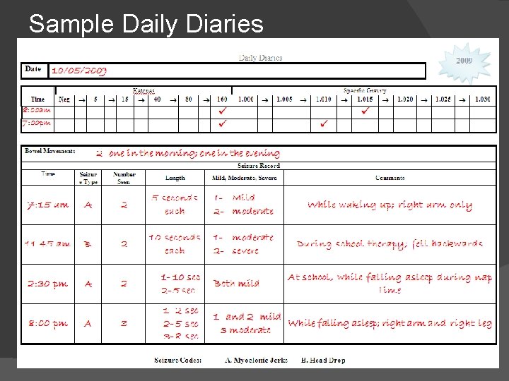 Sample Daily Diaries 