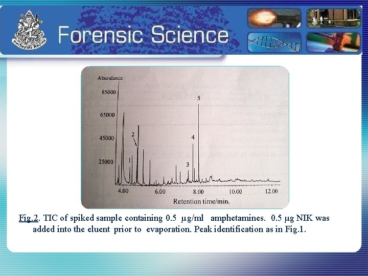 Fig. 2. TIC of spiked sample containing 0. 5 µg/ml amphetamines. 0. 5 µg