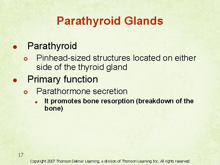 Parathyroid Glands Parathyroid l £ Pinhead-sized structures located on either side of the thyroid