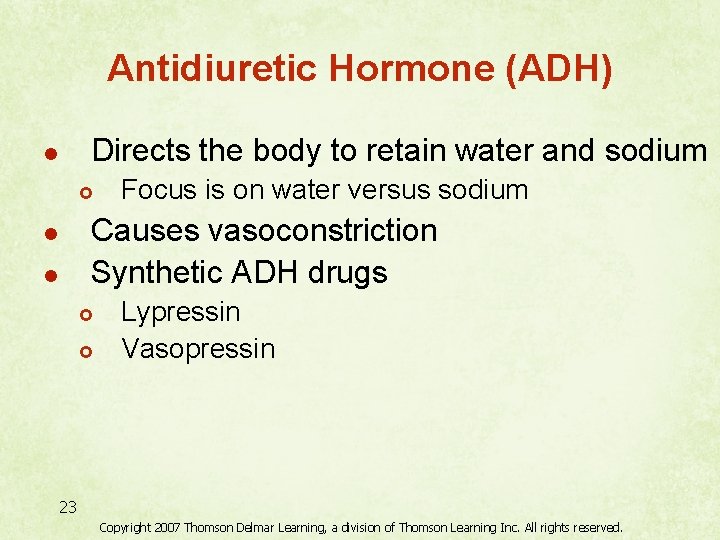 Antidiuretic Hormone (ADH) Directs the body to retain water and sodium l £ Focus