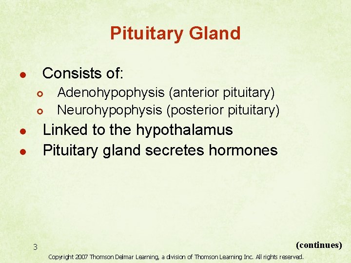 Pituitary Gland Consists of: l £ £ Adenohypophysis (anterior pituitary) Neurohypophysis (posterior pituitary) Linked