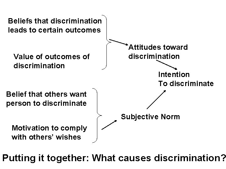 Beliefs that discrimination leads to certain outcomes Value of outcomes of discrimination Attitudes toward