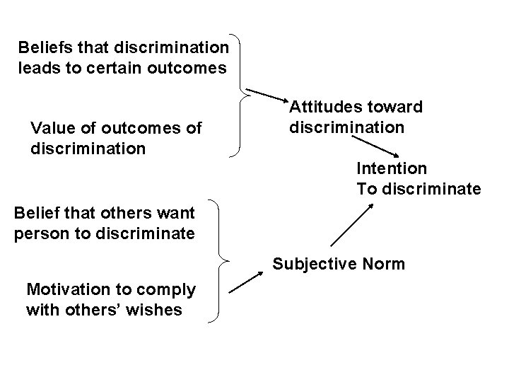 Beliefs that discrimination leads to certain outcomes Value of outcomes of discrimination Attitudes toward