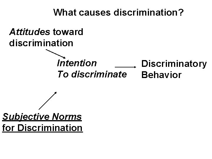 What causes discrimination? Attitudes toward discrimination Intention To discriminate Subjective Norms for Discrimination Discriminatory
