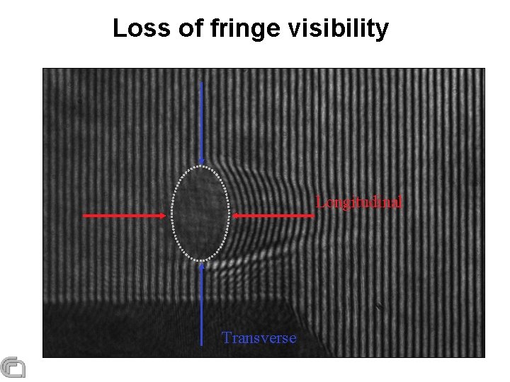 Loss of fringe visibility Longitudinal Transverse 