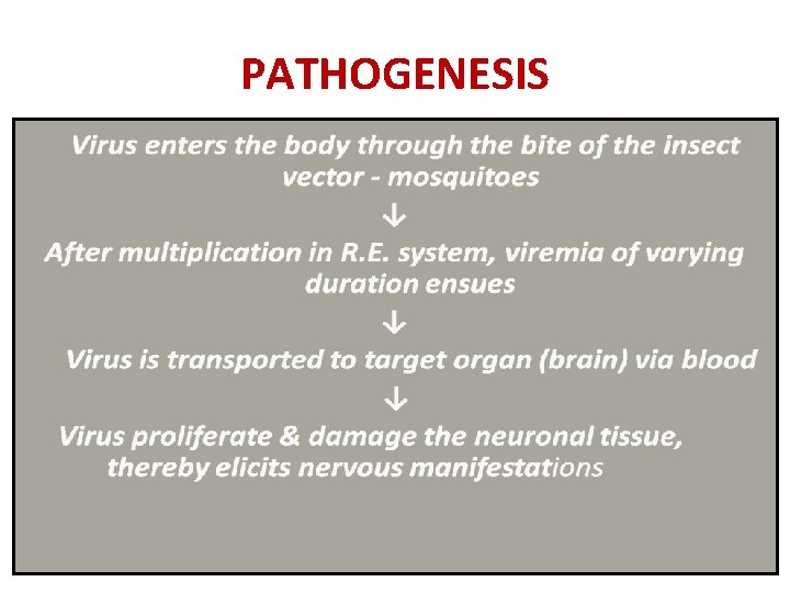 PATHOGENESIS 