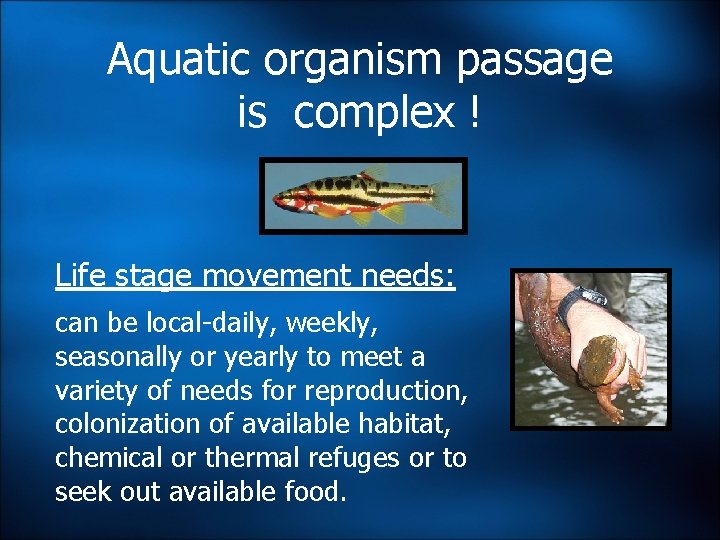 Aquatic organism passage is complex ! Life stage movement needs: can be local-daily, weekly, Aquatic organism passage is complex ! Life stage movement needs: can be local-daily, weekly,