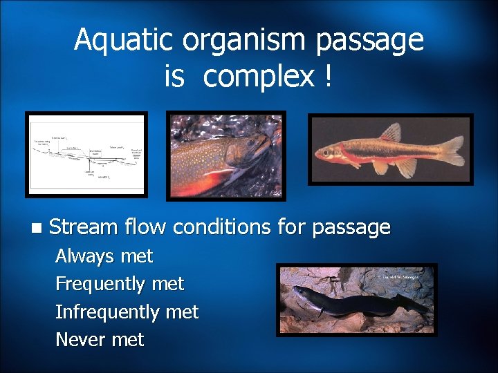 Aquatic organism passage is complex ! n Stream flow conditions for passage Always met Aquatic organism passage is complex ! n Stream flow conditions for passage Always met